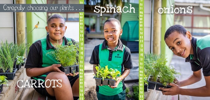 Growing Vegetables for the First Time: South African Children Gardening Projects