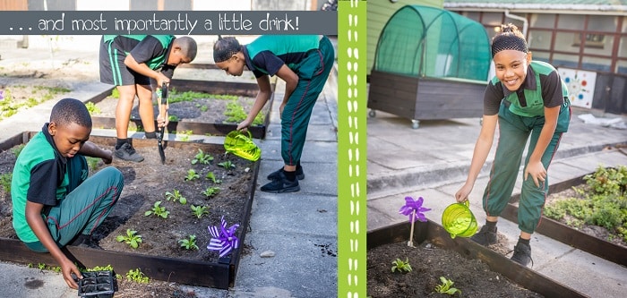 Growing Vegetables for the First Time: South African Children Gardening Projects