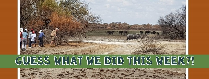 The SOS Africa Children Visit Mahikeng Game Reserve to see the Rhinos